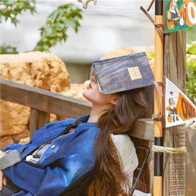 摩斯拉对哥吉拉